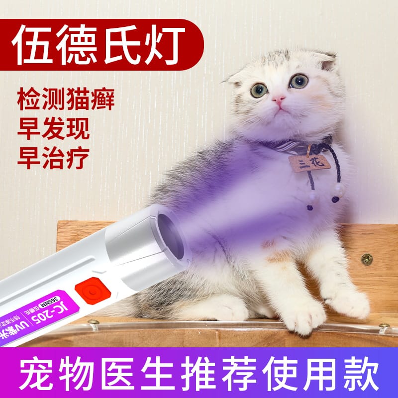 Handheld LED UV Money Detector